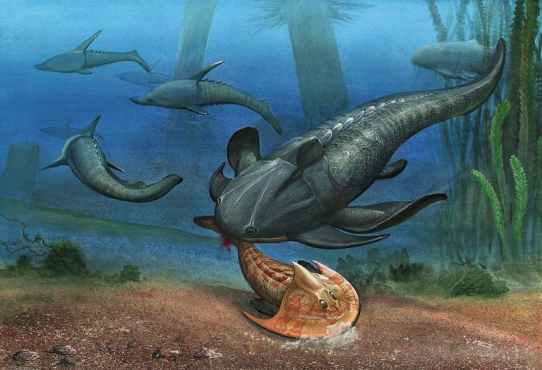 Devonian period: climate, animals & plants